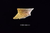 藏品(陶罐)的圖片